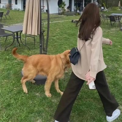 韶成里